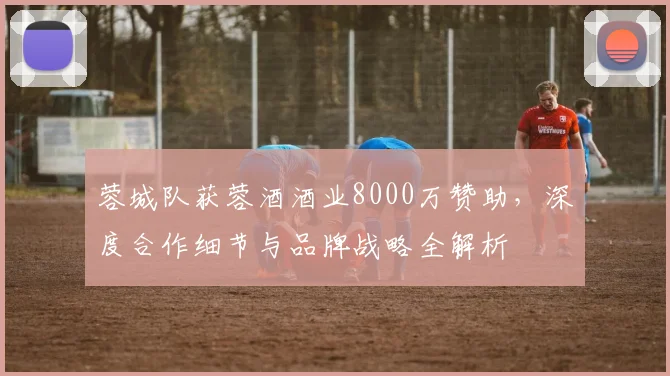 蓉城队获蓉酒酒业8000万赞助,深度合作细节与品牌战略全解析