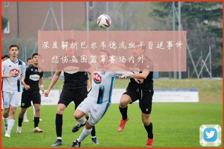 深度解析巴尔韦德流血半昏迷事件,悲伤氛围笼罩赛场内外